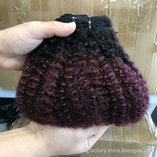 Wholesale unprocessed colored brazilian clip in hair extensions, 100% human hair clip in human hair colored